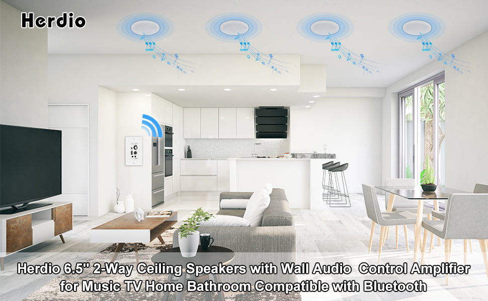 Herdio 6.5 Inch Wall/Ceiling Speakers with Bluetooth