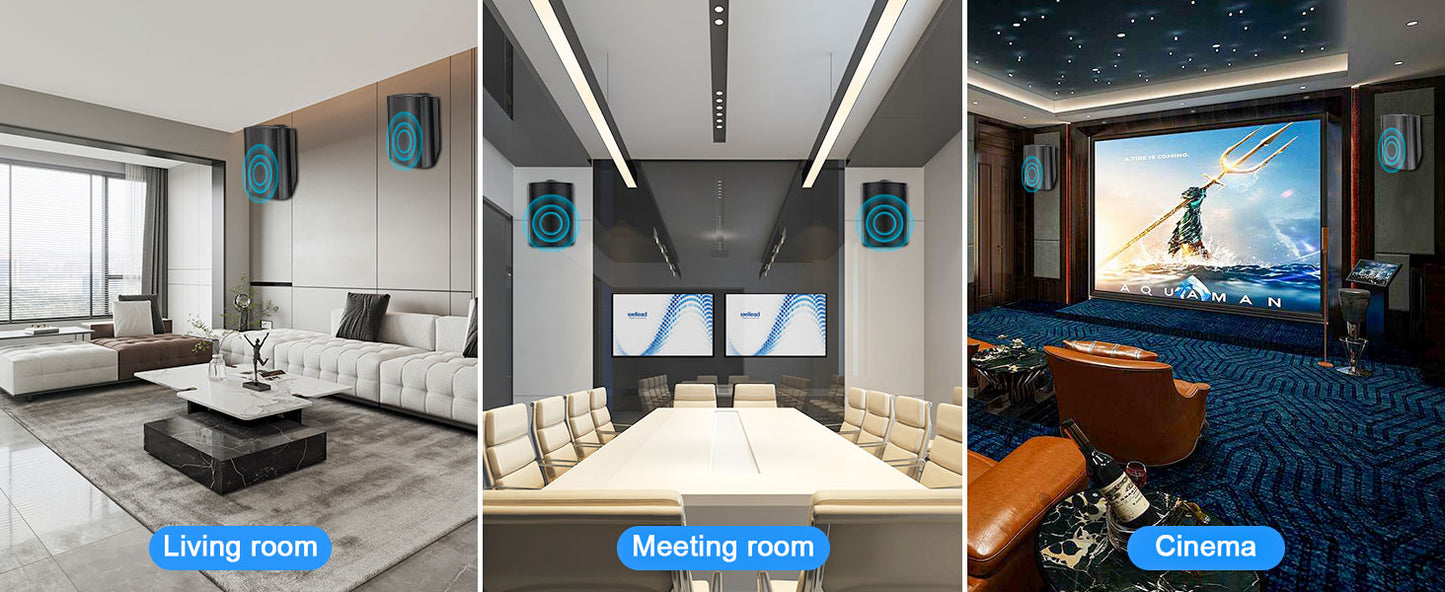 Herdio 5.25'' Passive Indoor Outdoor Speakers
