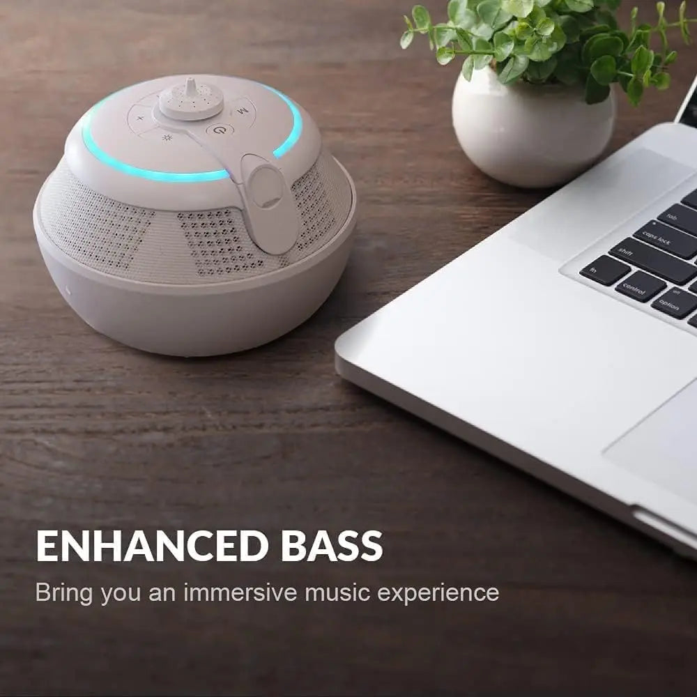 Whale Fountain Wireless Speaker