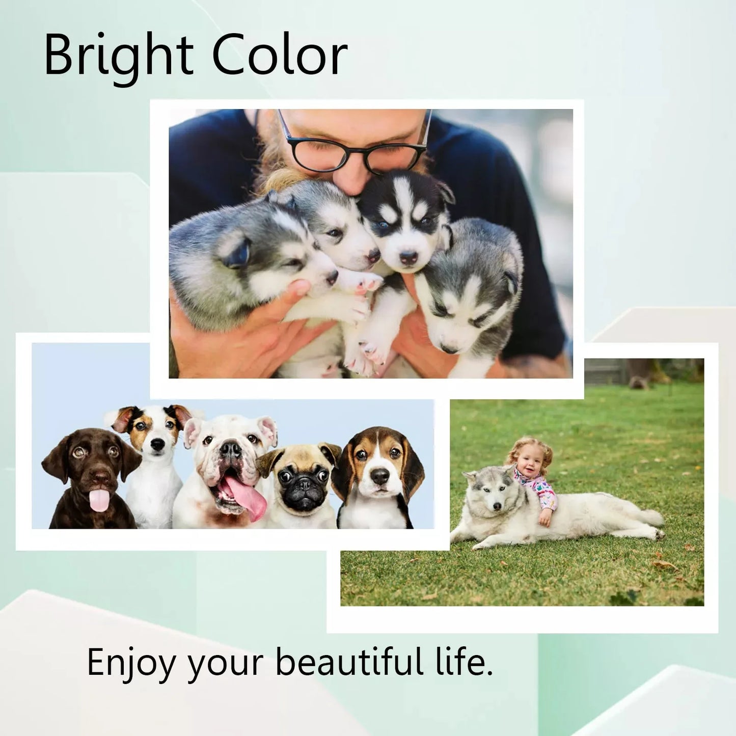 Greencycle Ink Cartridges for HP Printers