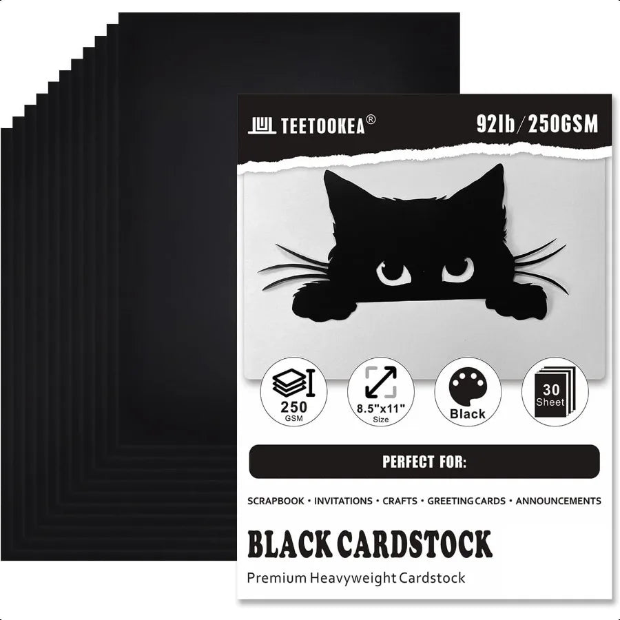 30 Sheets Black Heavyweight Printer Paper