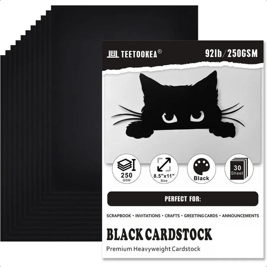 30 Sheets Black Heavyweight Printer Paper