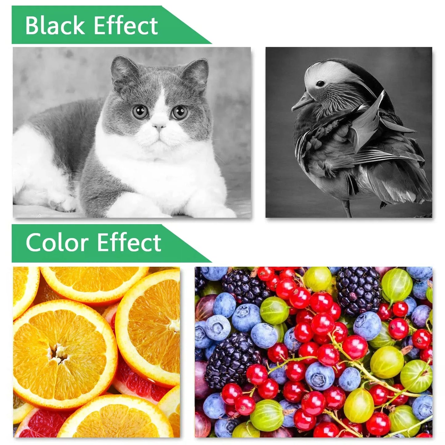 Greencycle Ink Cartridges for HP Printers