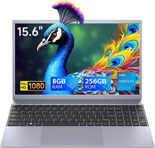 Envy 15 15.6 Inch Laptop  Windows 11
